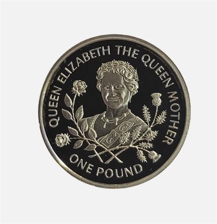 1995 Elizabeth II 'Queen Mother' £1 sterling silver coin .925 / 9.5g UNC UK